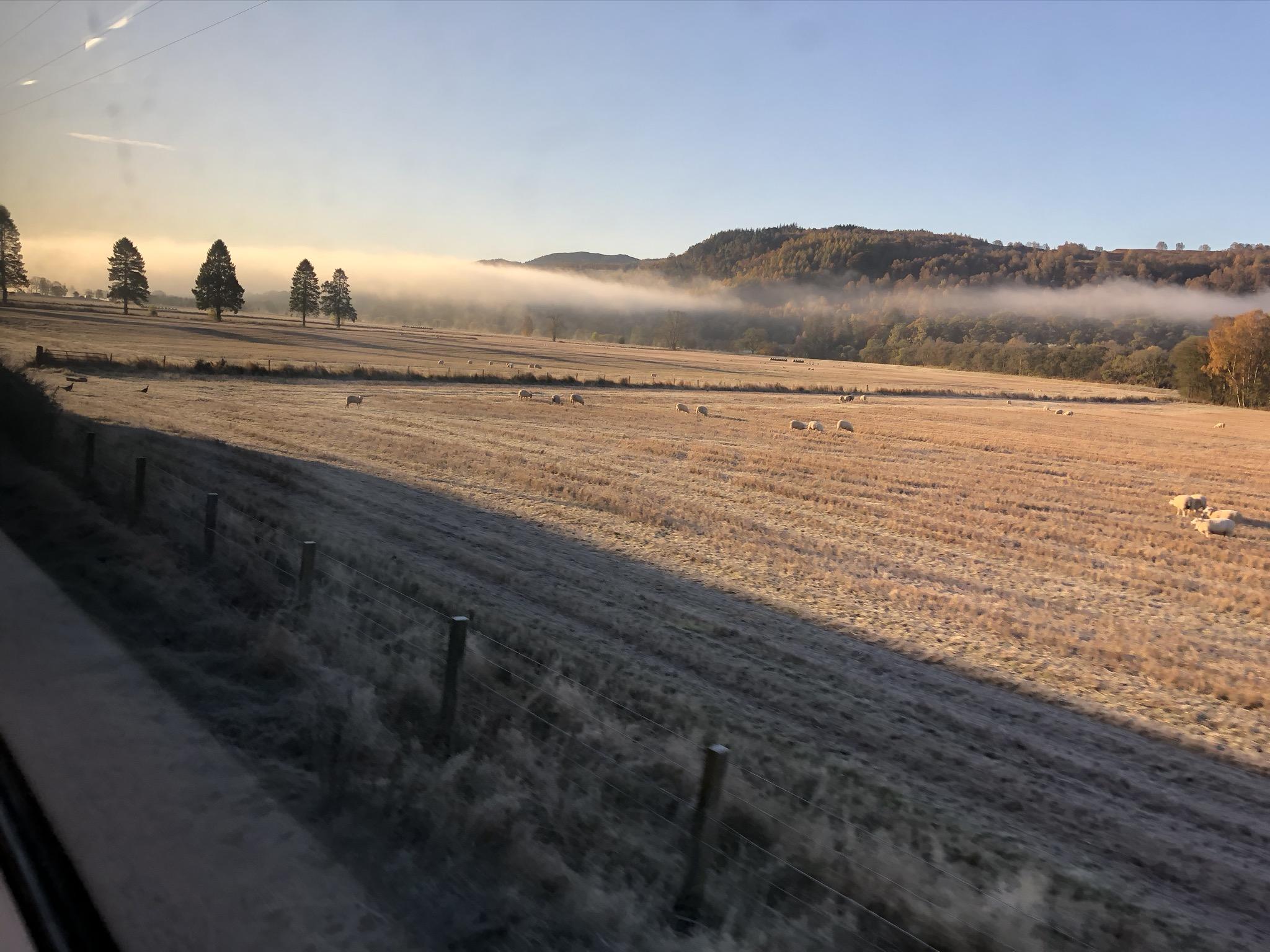 Field in Ardross