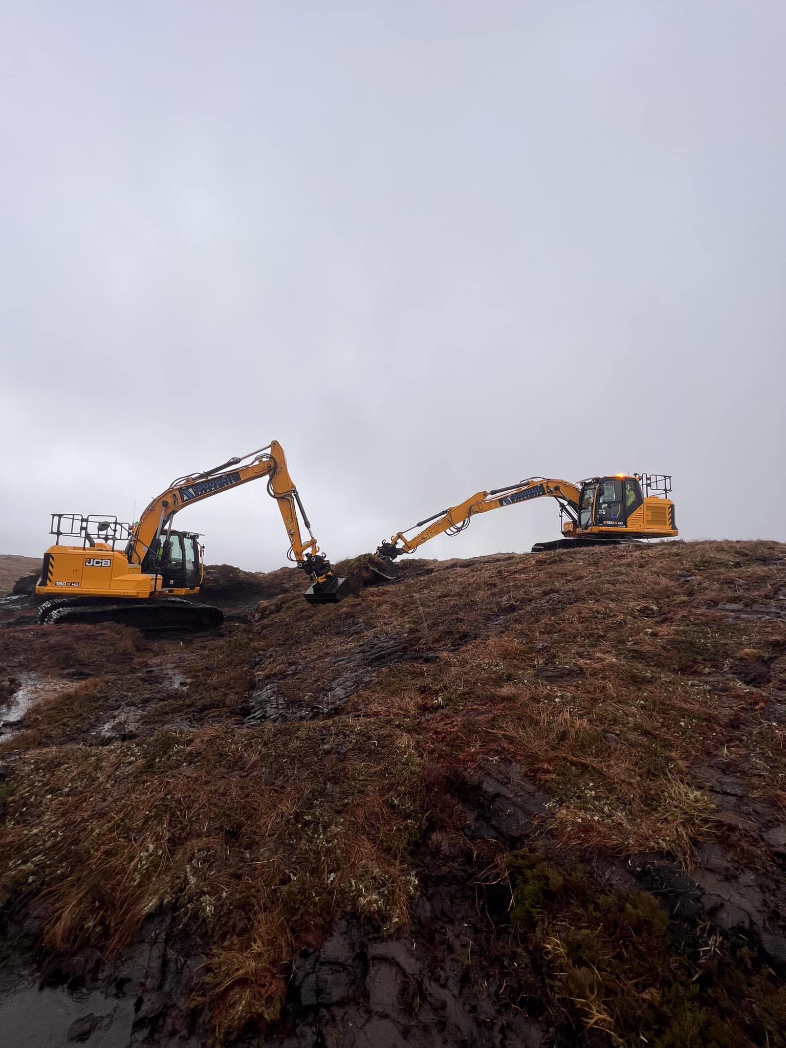 McDougall Plant Ltd 