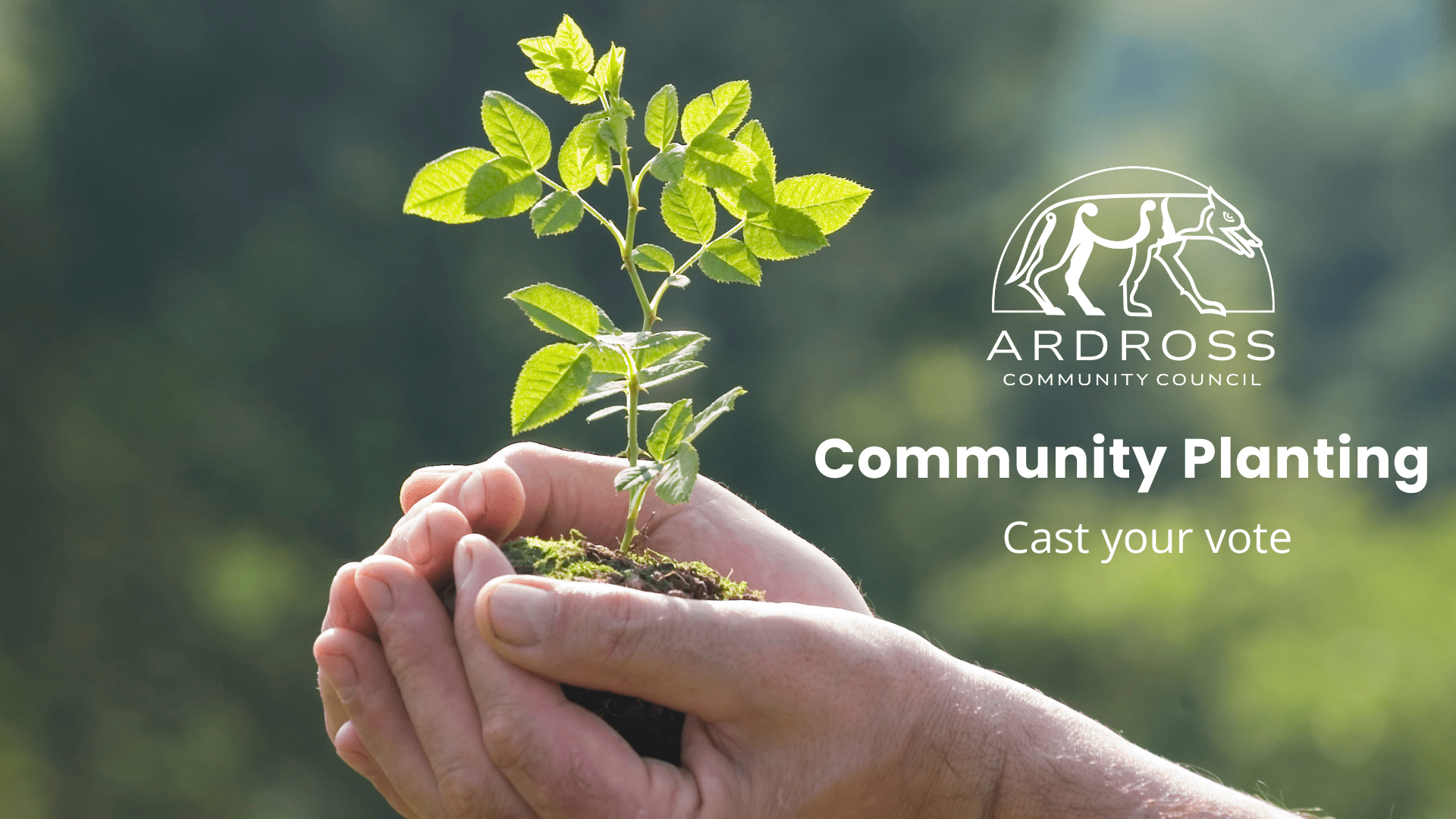 Community Planting
