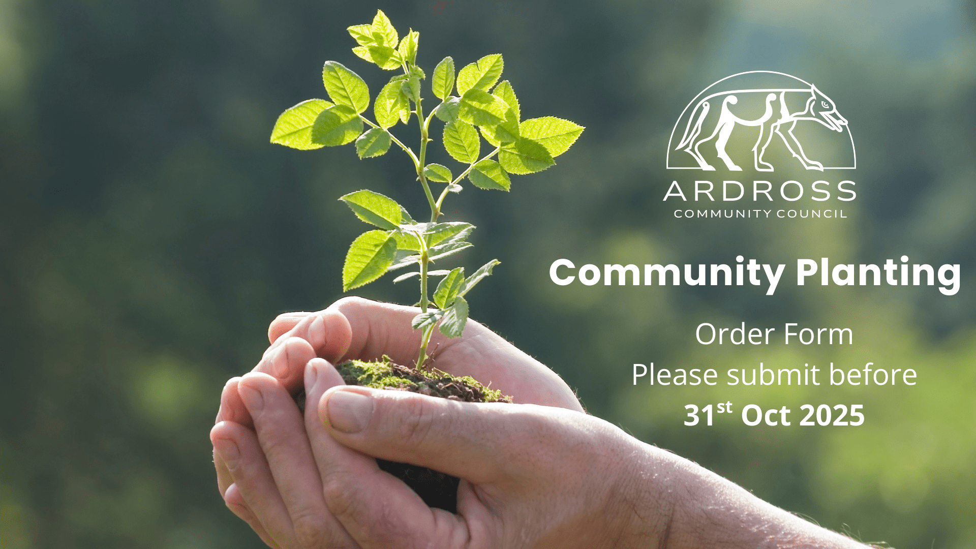 Community Planting – Applications Open
