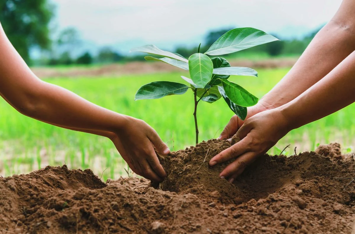 Community Planting – Applications Open